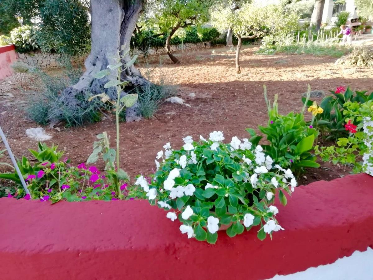 Bed and Breakfast Dimora Sofia Monopoli Zewnętrze zdjęcie